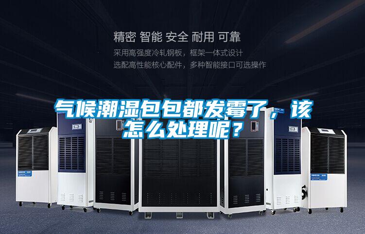 氣候潮濕包包都發霉了，該怎么處理呢？