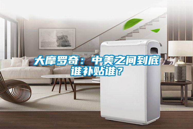 大摩羅奇:中美之間到底誰補貼誰?