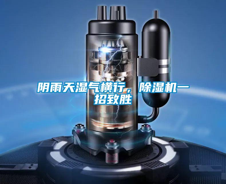 陰雨天濕氣橫行，除濕機(jī)一招致勝