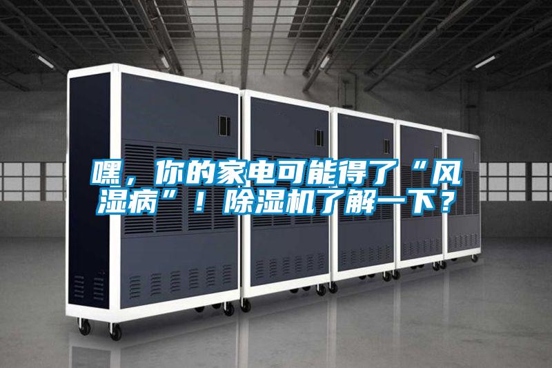 嘿，你的家電可能得了“風(fēng)濕病”！除濕機了解一下？