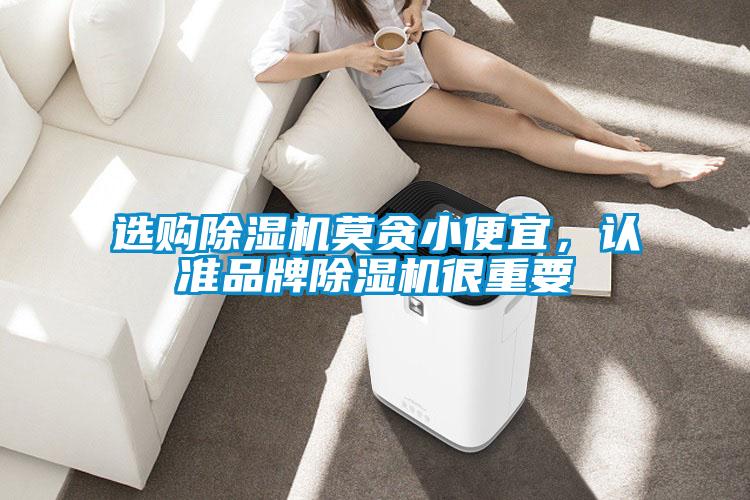選購除濕機(jī)莫貪小便宜,認(rèn)準(zhǔn)品牌除濕機(jī)很重要