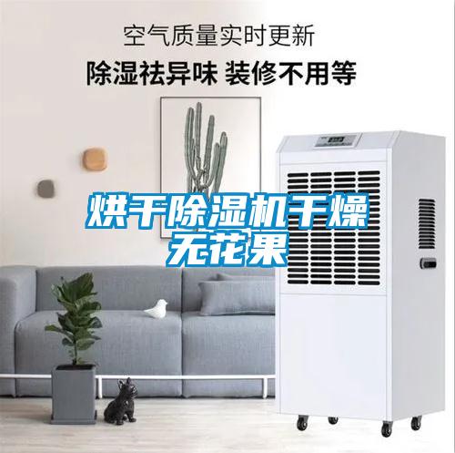 烘干除濕機(jī)干燥無(wú)花果