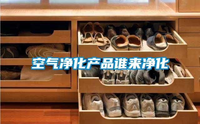 空氣凈化產(chǎn)品誰來凈化