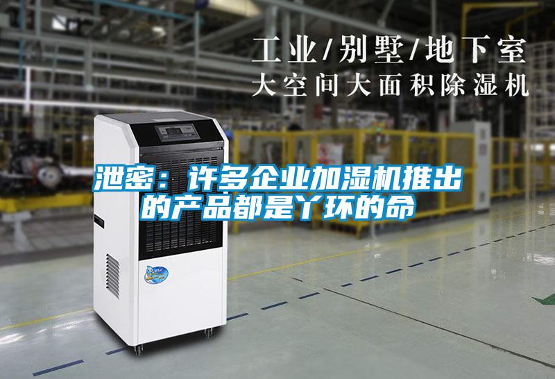 泄密:許多企業(yè)加濕機(jī)推出的產(chǎn)品都是丫環(huán)的命