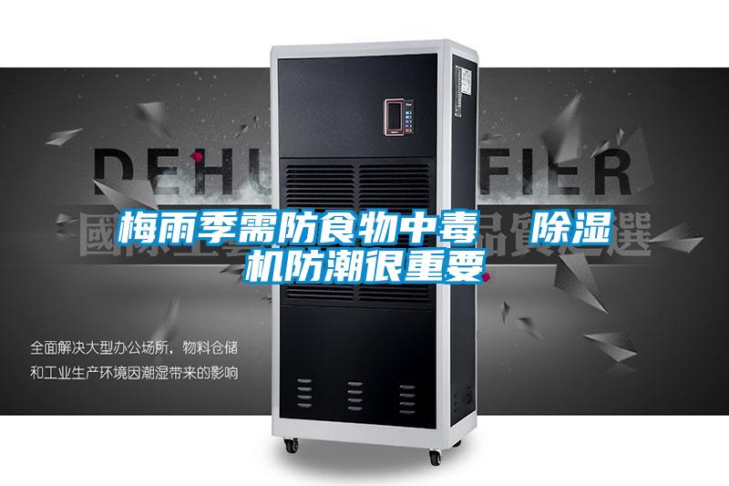 梅雨季需防食物中毒 除濕機防潮很重要