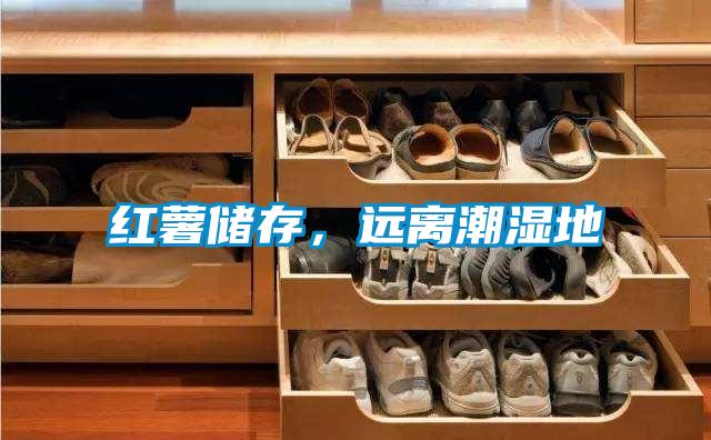 紅薯儲存,遠離潮濕地