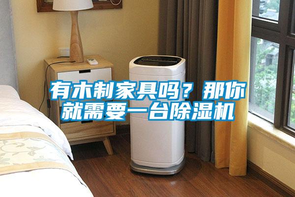 有木制家具嗎?那你就需要一臺除濕機