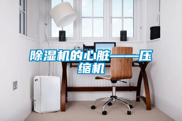 除濕機(jī)的心臟——壓縮機(jī)
