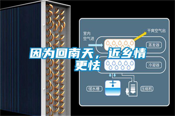 因為回南天，近鄉情更怯