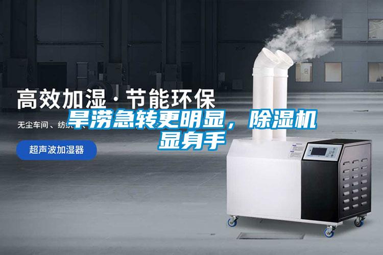 旱澇急轉更明顯，除濕機顯身手