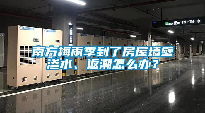 南方梅雨季到了房屋墻壁滲水、返潮怎么辦？