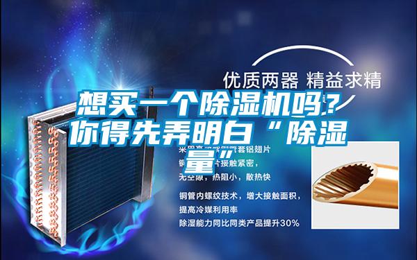 想買一個除濕機嗎？你得先弄明白“除濕量”