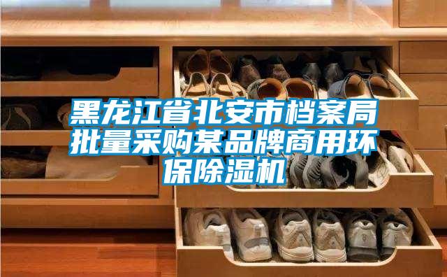 黑龍江省北安市檔案局批量采購某品牌商用環保除濕機