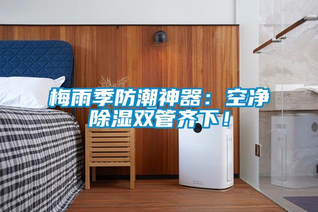 梅雨季防潮神器：空凈除濕雙管齊下！