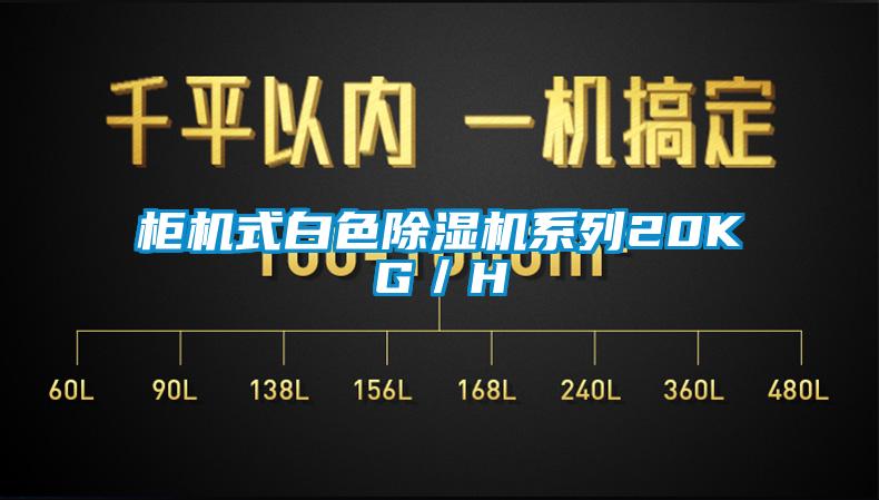 柜機式白色除濕機系列20KG／H