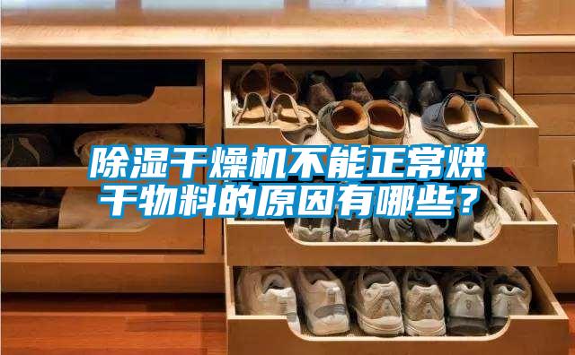 除濕干燥機不能正常烘干物料的原因有哪些？