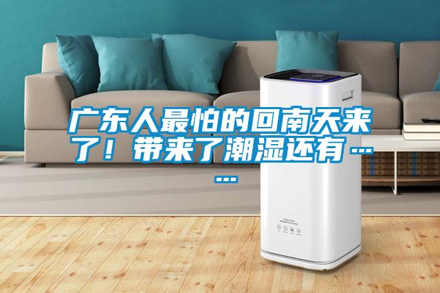 廣東人最怕的回南天來了!帶來了潮濕還有……