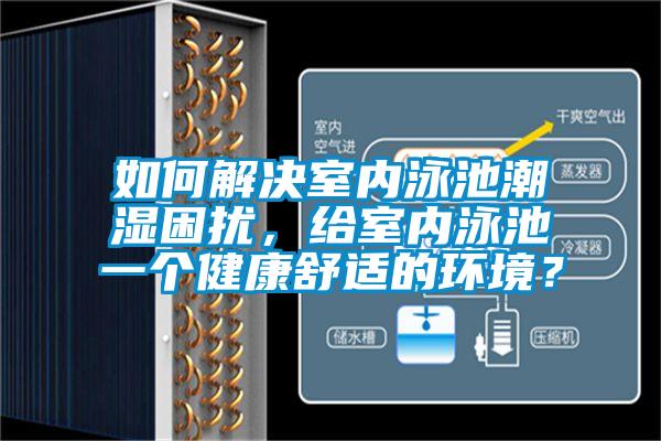 如何解決室內泳池潮濕困擾,給室內泳池一個健康舒適的環境?