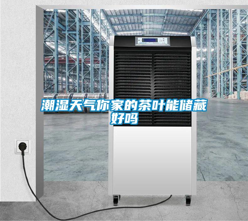 潮濕天氣你家的茶葉能儲藏好嗎