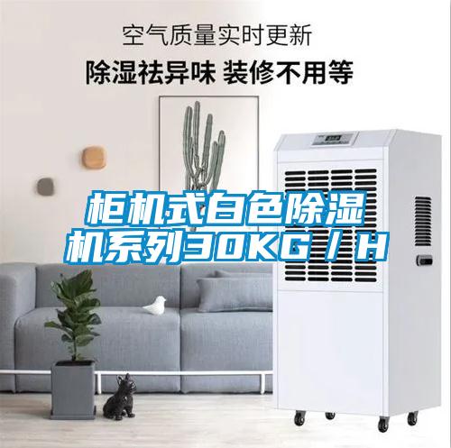 柜機式白色除濕機系列30KG／H