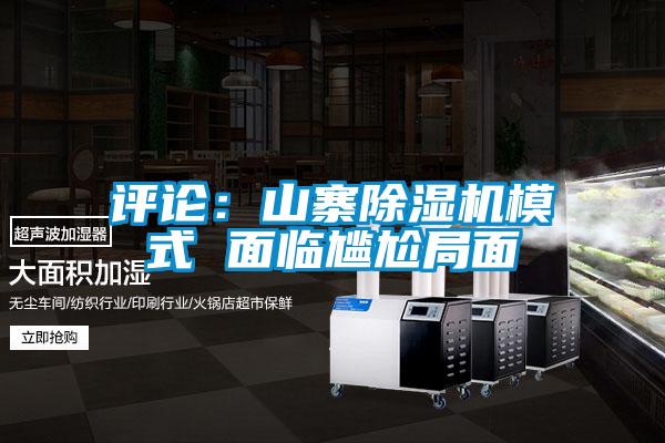 評(píng)論:山寨除濕機(jī)模式 面臨尷尬局面