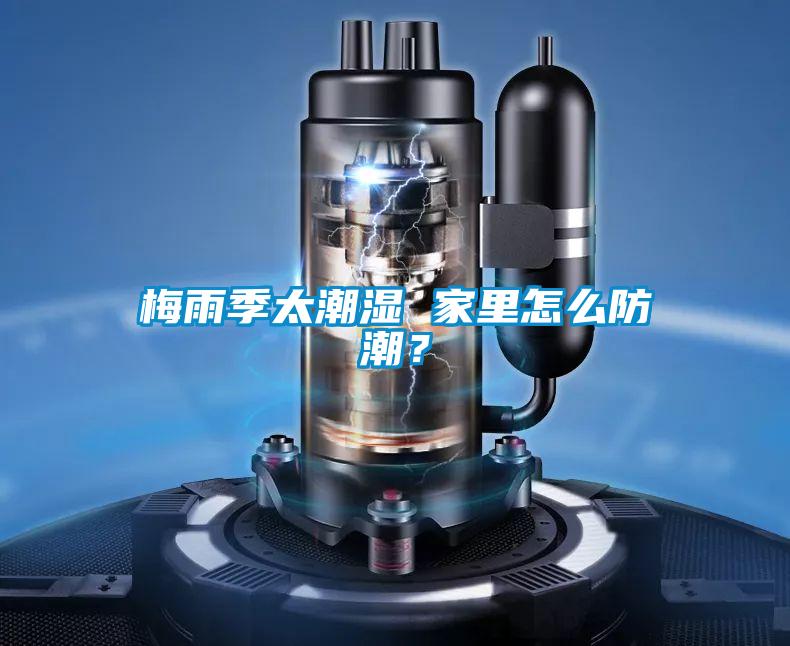 梅雨季太潮濕 家里怎么防潮?