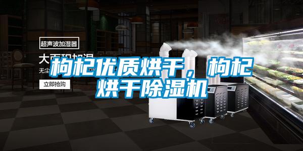 枸杞優質烘干,枸杞烘干除濕機