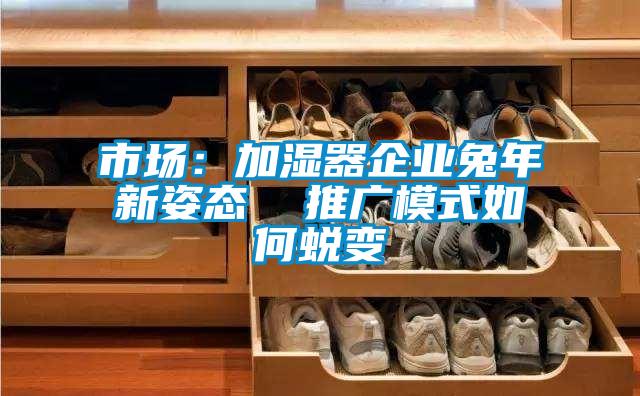 市場:加濕器企業(yè)兔年新姿態(tài) 推廣模式如何蛻變