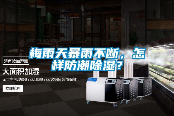 梅雨天暴雨不斷，怎樣防潮除濕？