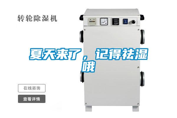 夏天來了，記得祛濕哦