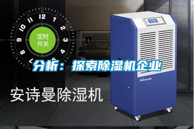 分析:探索除濕機企業
