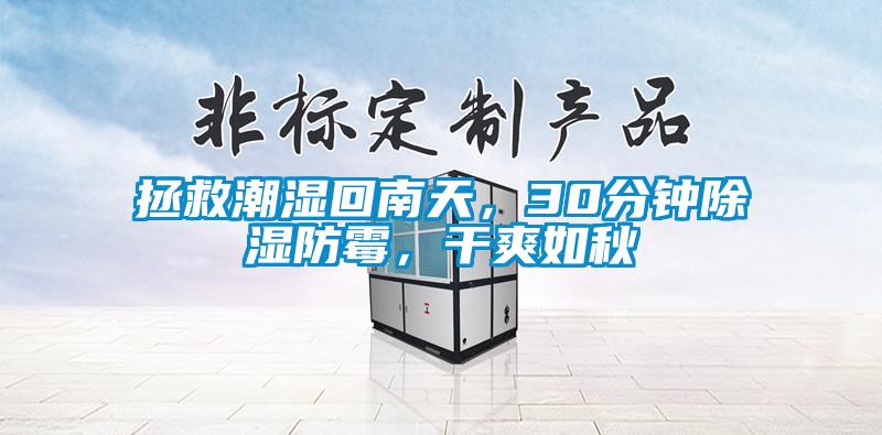 拯救潮濕回南天，30分鐘除濕防霉，干爽如秋