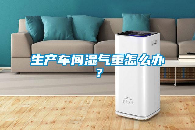 生產車間濕氣重怎么辦?
