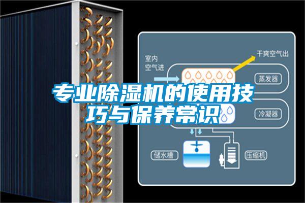 專業除濕機的使用技巧與保養常識