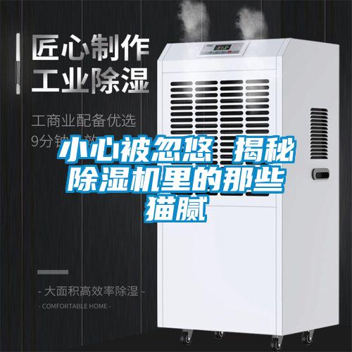 小心被忽悠 揭秘除濕機里的那些貓膩