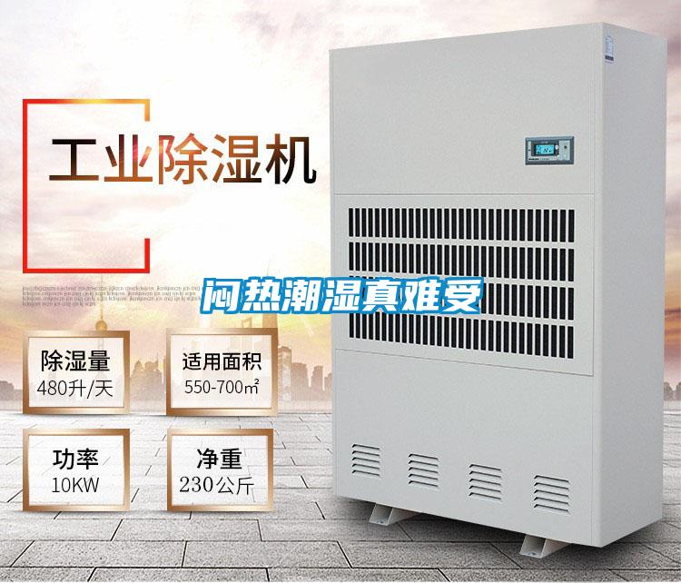 悶熱潮濕真難受