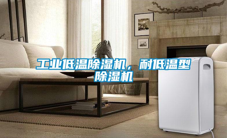 工業低溫除濕機，耐低溫型除濕機