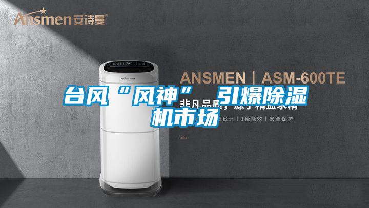 臺風“風神” 引爆除濕機市場