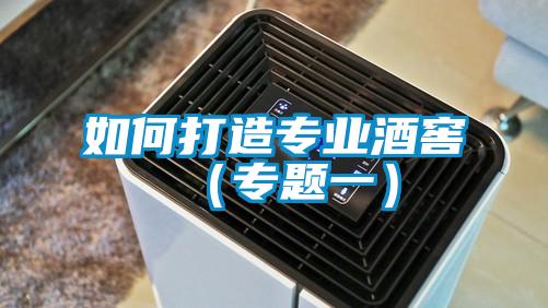 如何打造專業酒窖(專題一)