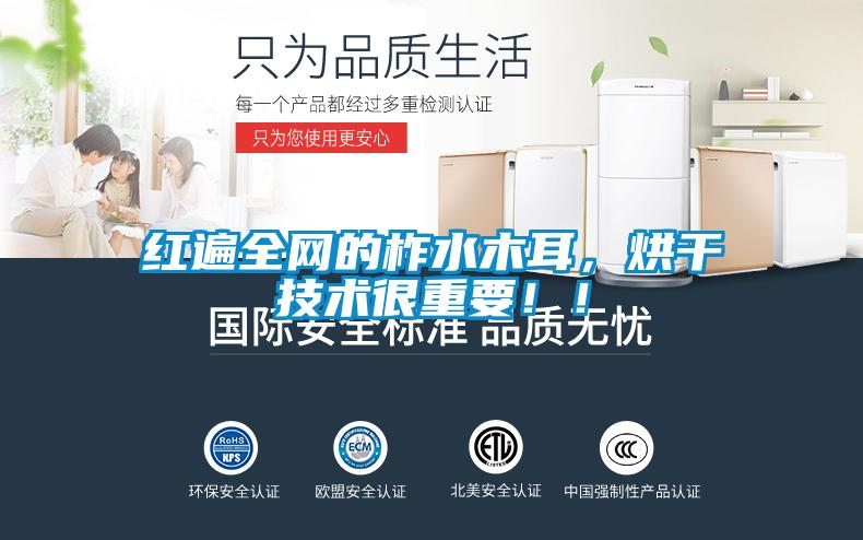 紅遍全網的柞水木耳，烘干技術很重要！！