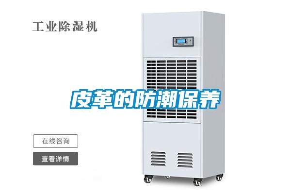 皮革的防潮保養