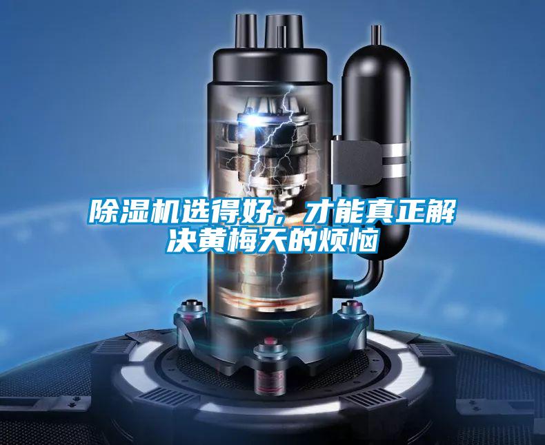除濕機(jī)選得好，才能真正解決黃梅天的煩惱