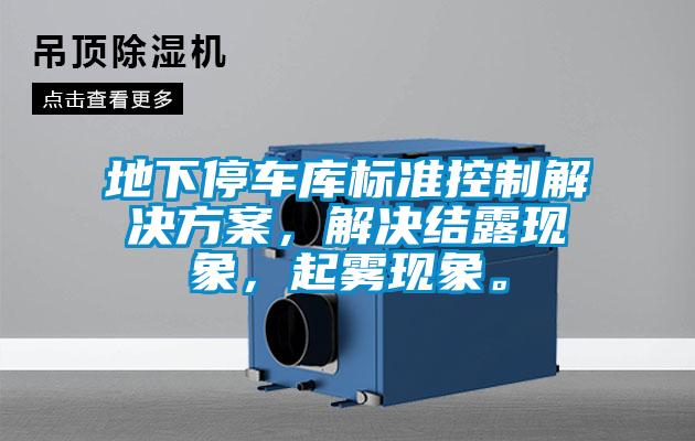 地下停車庫(kù)標(biāo)準(zhǔn)控制解決方案，解決結(jié)露現(xiàn)象，起霧現(xiàn)象。