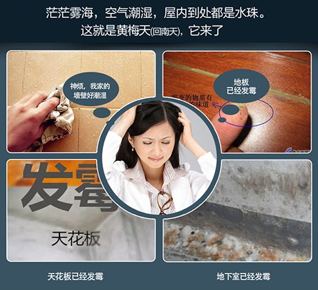 恒濕機(jī)多少錢(qián)一臺(tái)?高性?xún)r(jià)比恒濕機(jī)