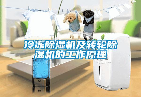 冷凍除濕機及轉輪除濕機的工作原理