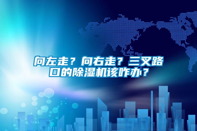 向左走？向右走？三叉路口的除濕機該咋辦？