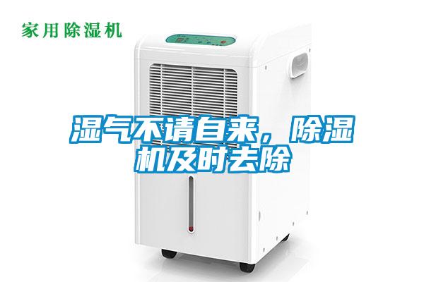 濕氣不請自來，除濕機及時去除