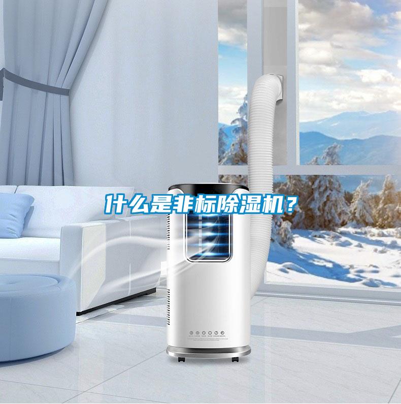 什么是非標(biāo)除濕機?