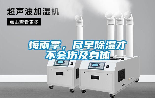 梅雨季，盡早除濕才不會傷及身體