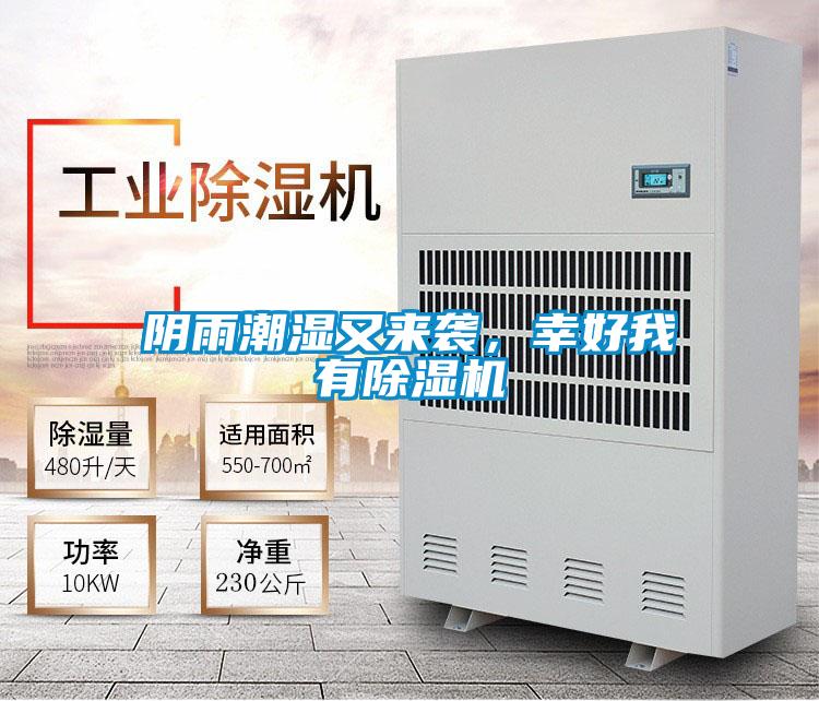 陰雨潮濕又來襲，幸好我有除濕機